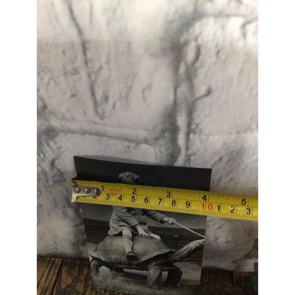 Reprint Photo Odd Bizzare Boy Riding Turtle Reprint Vintage - Picture 10 of 10